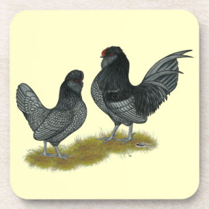 Dessous-de-verre Bantams de Watermaal belges