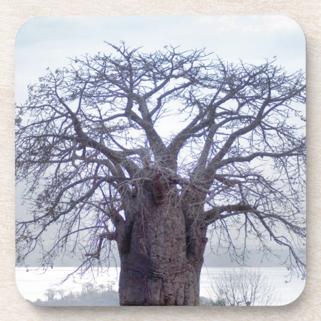 Dessous-de-verre Baobab (Adansonia Digitata), Luanda (Devant)