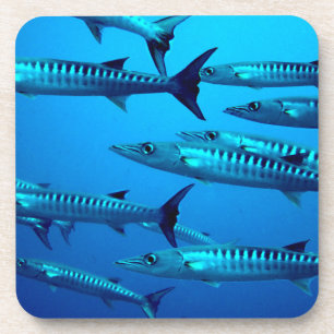 Dessous-de-verre barracuda plongée mer profonde océan eau tropicale
