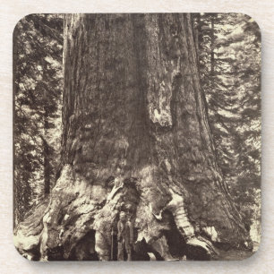 Dessous-de-verre Base du géant grisâtre, 'du livre de Yosemite