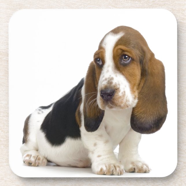 Dessous-de-verre Basset Hound (Devant)
