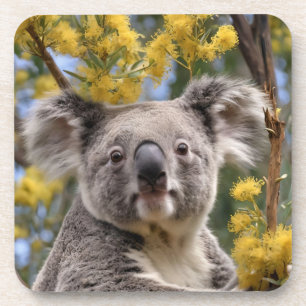 Dessous-de-verre Bataille Jaune Et Ours De Koala,