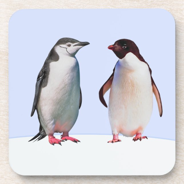 Dessous-de-verre Beau couple d'oiseaux de pingouin sur bleu clair (Devant)
