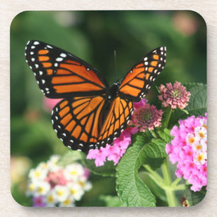 Dessous-de-verre Beau papillon de monarque sur Flowers.Coasters