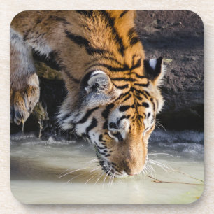 Dessous-de-verre Beau tigre au trou d'eau