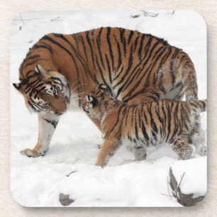 Dessous-de-verre Beau tigre et cub