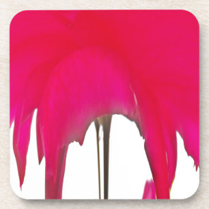 Dessous-de-verre Beautiful amazing Red rose under the white sky