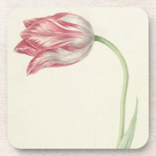 Dessous-de-verre Beaux-arts floraux vintages : Tulipe rose et