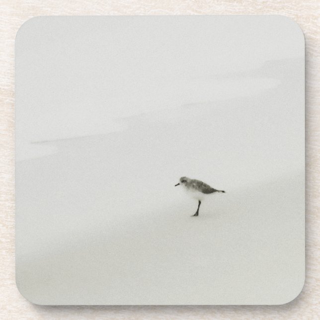 Dessous-de-verre Bécasseau côtier sur la plage (Devant)