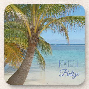 Dessous-de-verre Belize Tropical Palm Tree Beach Photo de la scène