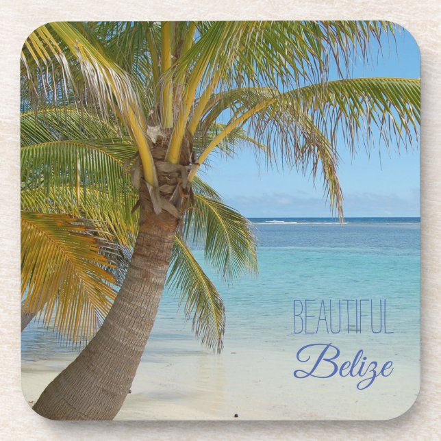 Dessous-de-verre Belize Tropical Palm Tree Beach Photo de la scène (Devant)