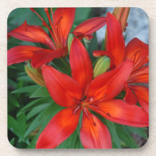 Dessous-de-verre Belle fleur rouge