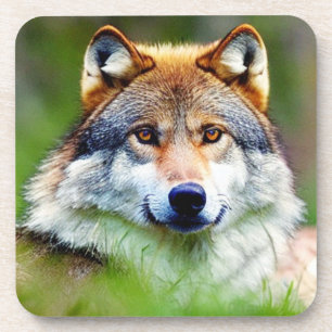 Dessous-de-verre Belle tête de loup Peinture