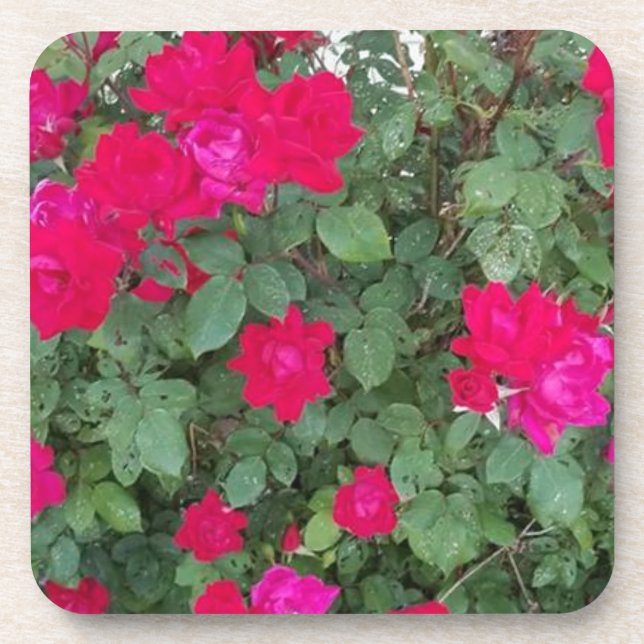 Dessous-de-verre Belles Fleurs (Devant)