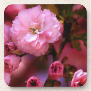 Dessous-de-verre Belles fleurs de cerisiers rose printemps