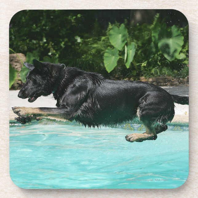 Dessous-de-verre Berger allemand sautant dans l'eau (Devant)