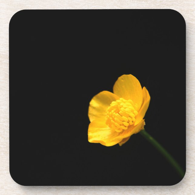 Dessous-de-verre Beurre Fleur de la côte de Beverly Coaster (Devant)