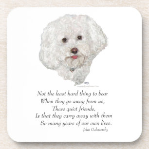 Dessous-de-verre Bichon Frise Rainbow Bridge
