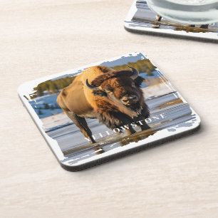 Dessous-de-verre Bison de Yellowstone