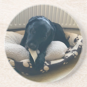 Dessous de verre Black Labrador