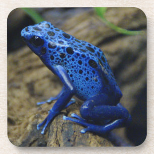 Dessous-de-verre Bleu et noir Poison Pâte de grenouille Beverage Co