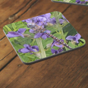 Dessous-de-verre Bleu-Eyed Denton sur les fleurs violettes