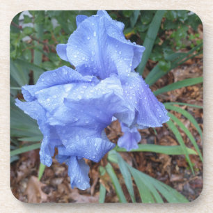 Dessous-de-verre bleu fleur iris vert feuilles gouttelettes dessous