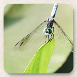 Dessous-de-verre Bleu libellule sur une feuille verte