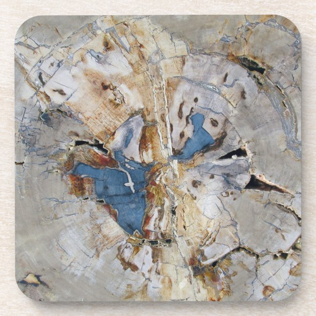 Dessous-de-verre Bois fossile (Devant)
