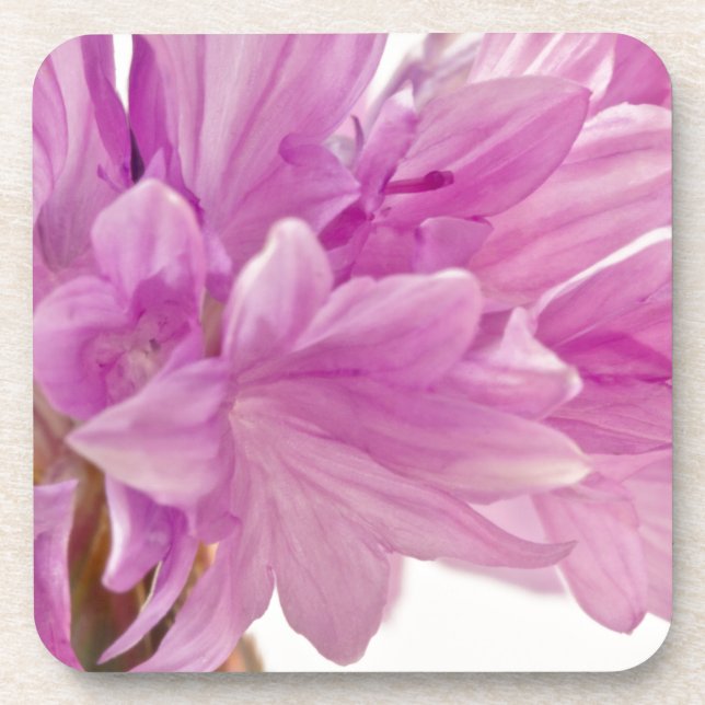 Dessous-de-verre Bouton de mise à jour (Devant)