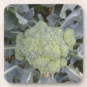 Dessous de verre Broccoli Cork