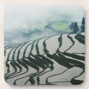 Dessous-de-verre Brouillard de matin au-dessus des gisements de riz