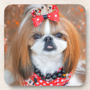 Dessous-de-verre Brown and White Shih Tzu Puppy Dog