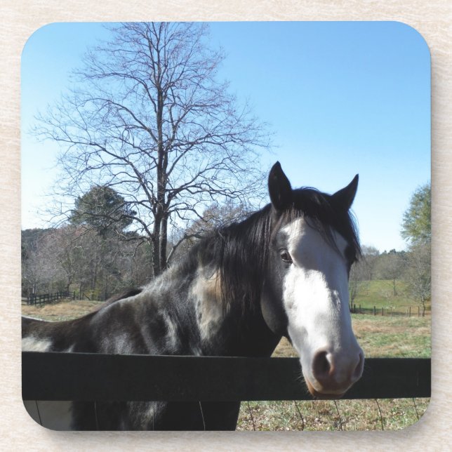 Dessous-de-verre Brown &blanc, Cheval Peint, ciel bleu vif (Devant)