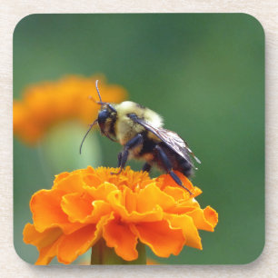 Dessous-de-verre Busy Bee