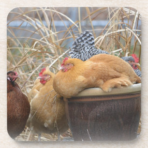 Dessous-de-verre Caboteurs mignons de poulet