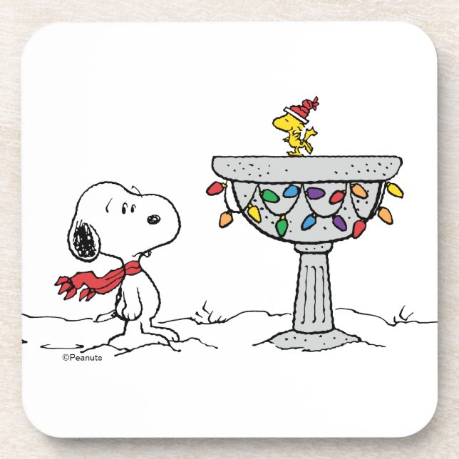 Dessous-de-verre cacahuètes | Snoopy & Woodstock Froid Birdbath (Devant)