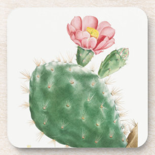 Dessous-de-verre Cactus Cochenillifer, Illustration Antique, 1799