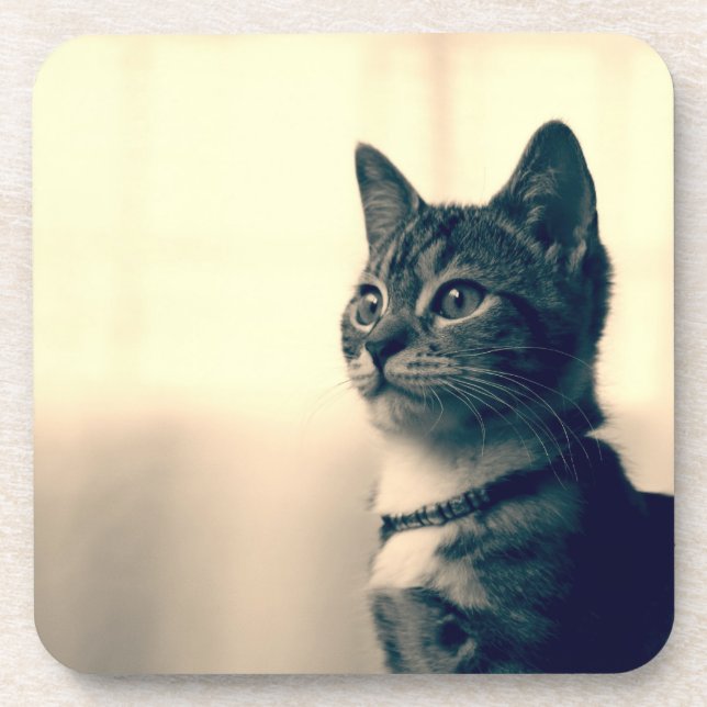 Dessous-de-verre Cadeaux d'amoureux des chats, cadeaux orientés de (Devant)