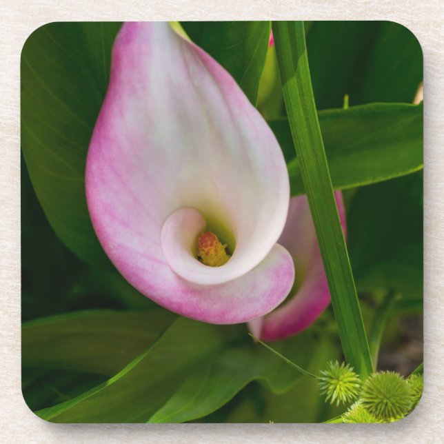 Dessous-de-verre Calla Roll (Devant)