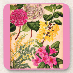 Dessous-de-verre camélia, forsythie, rhododendron et acacia