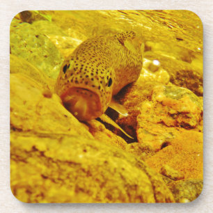 Dessous-de-verre Canal en flux