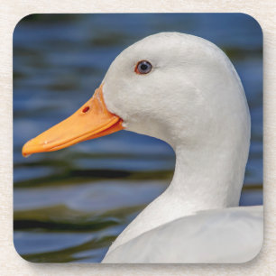 Dessous-de-verre Canard blanc