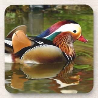 Dessous-de-verre Canard mandarin