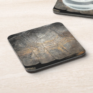 Dessous-de-verre Carapace de Tortue Gopher