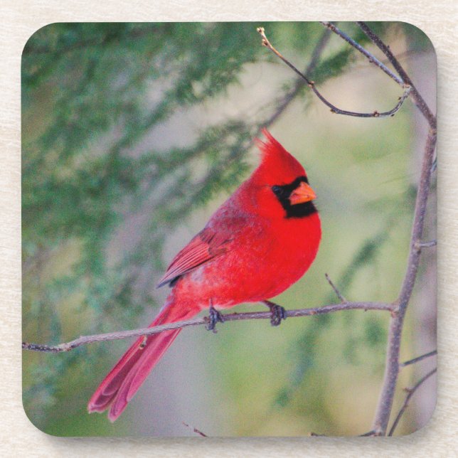 Dessous-de-verre Cardinal Crimson (Devant)