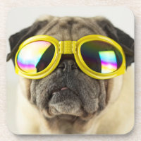 Carlin avec lunettes