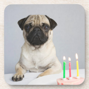 Dessous-de-verre Carlin d'anniversaire