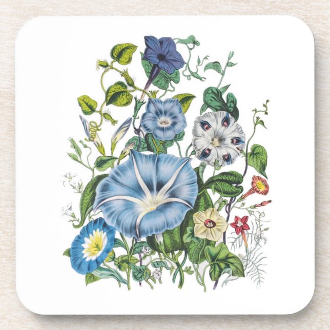 Dessous-de-verre Carnaval des fleurs (Devant)