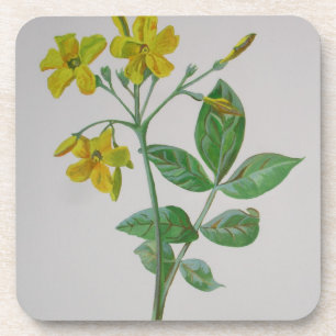 Dessous-de-verre Carolina Jasmine Botanique Art